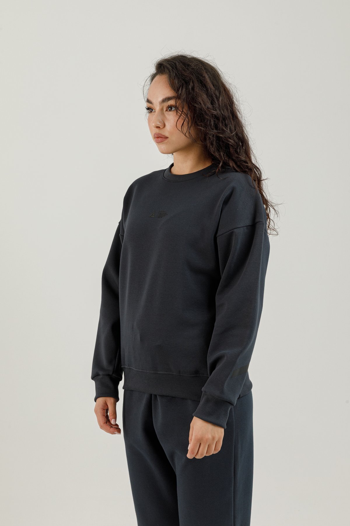 Sıfır Yaka Kadın Sweatshirt - 180016-W.02