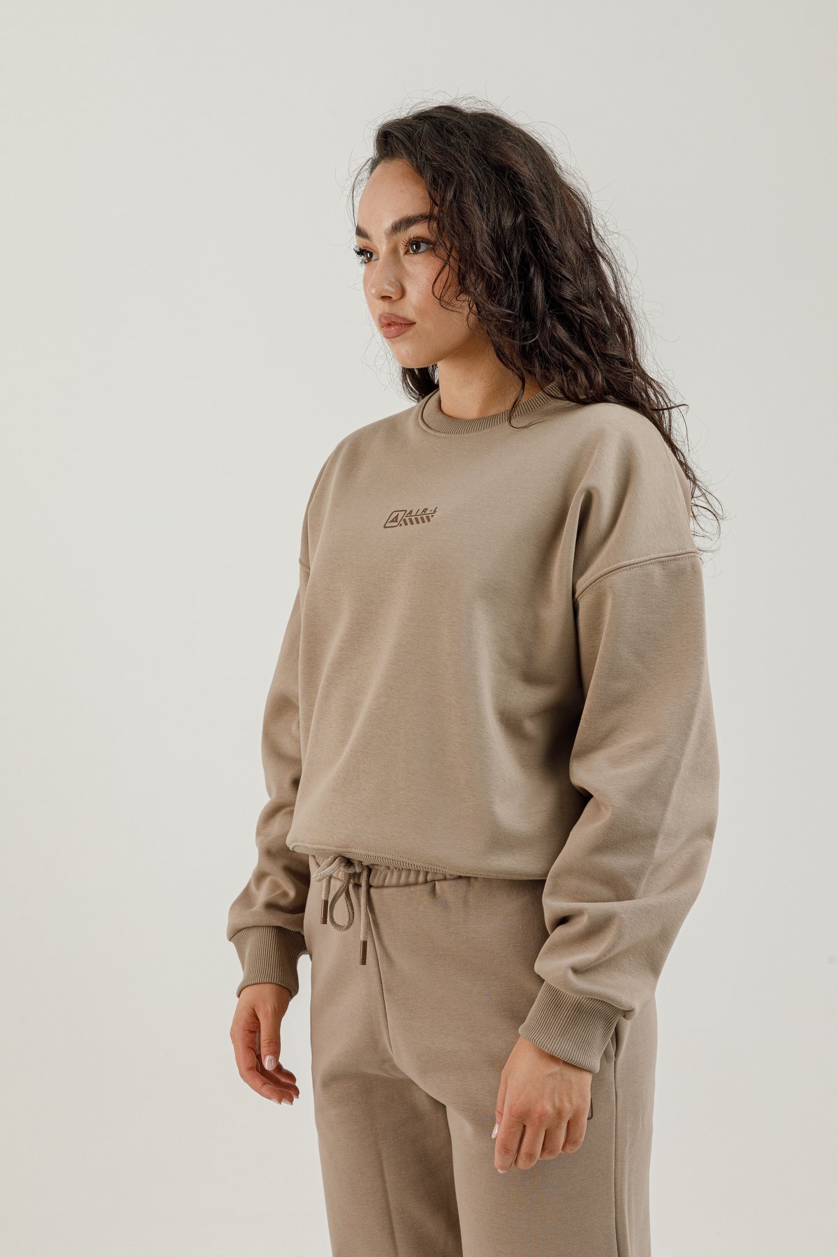 Sıfır Yaka Kadın Sweatshirt - 180020-W.02