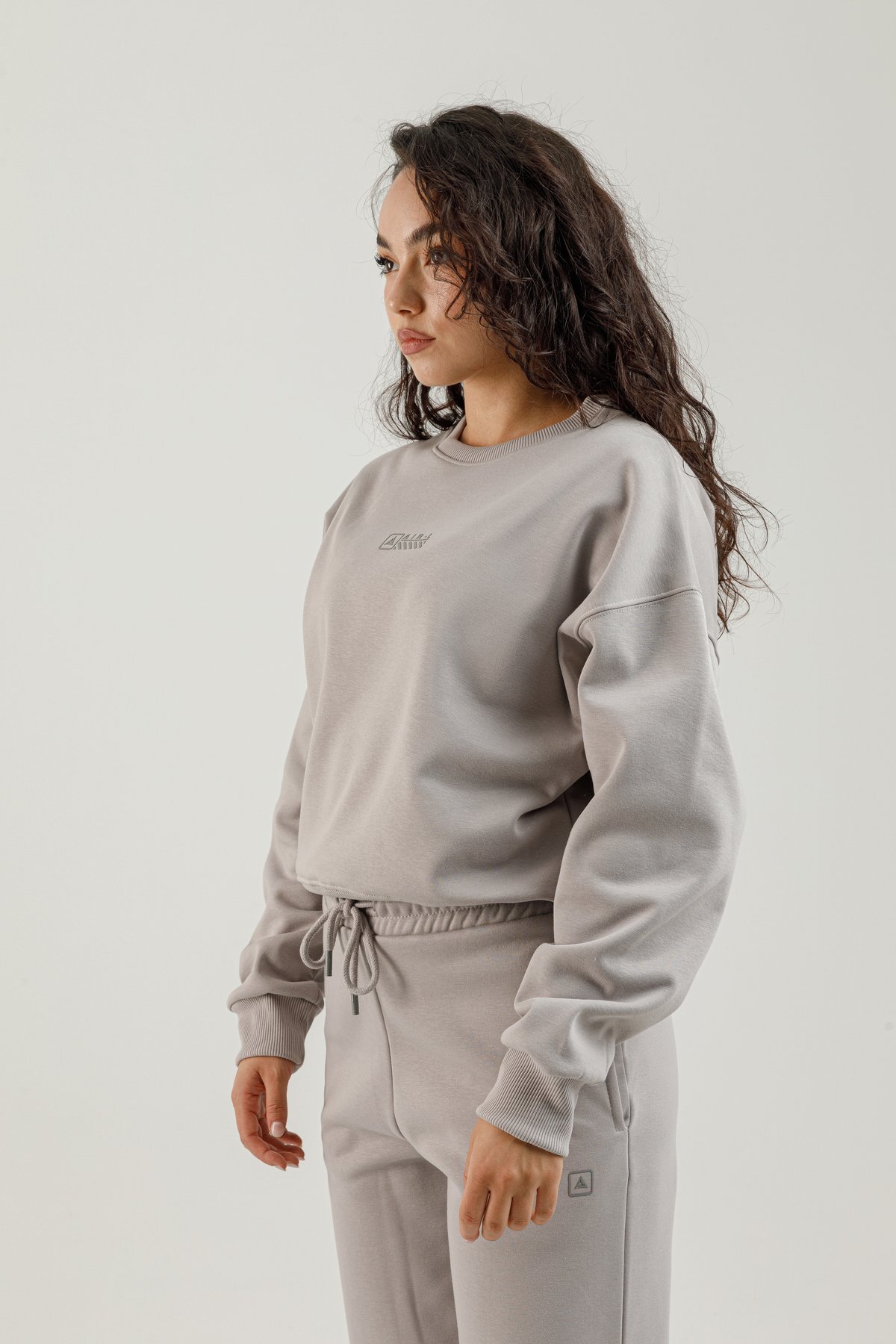 Sıfır Yaka Kadın Sweatshirt - 180020-W.02