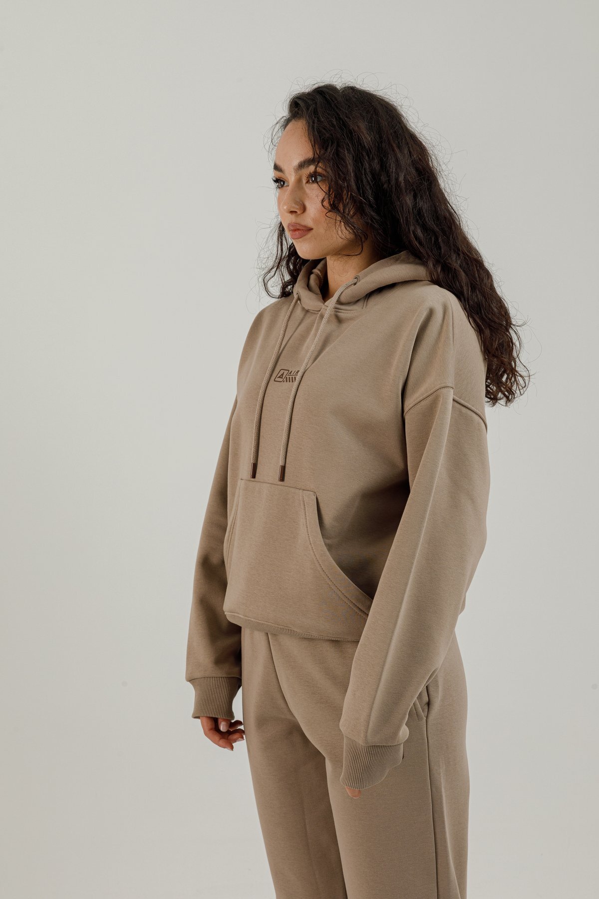 Kanguru Cepli Kadın Kapüşonlu Sweatshirt - 180021-W.02