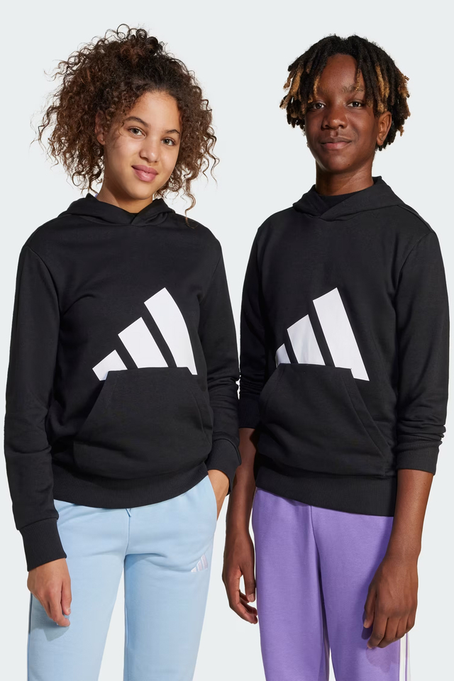 Adidas Essentials Big Logo Çocuk Kapüşonlu Günlük Sweatshirt