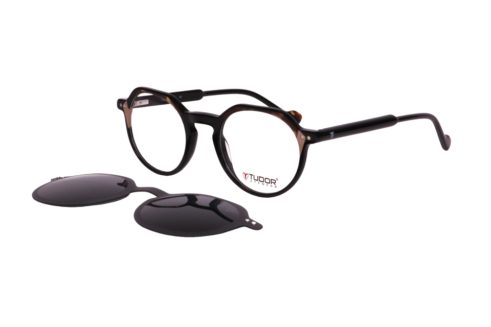 Tudor To301
