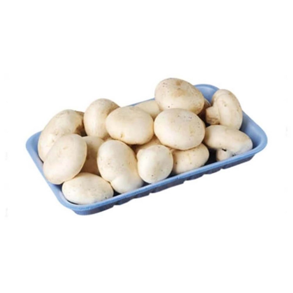 Kültür Mantarı (400 g) ❌❌❌